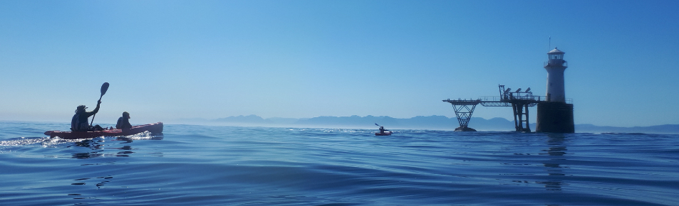 paddle experience - paddling towards the Roman Rock Lighthouse while on the Simon's Town tour.
