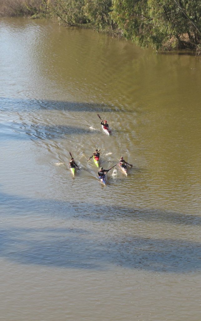 paddle experience - canoeists during the berg river marathon, near picketberg.